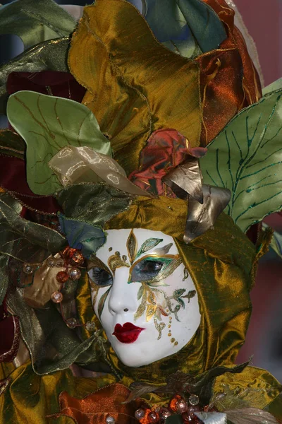 Venice Carnival Celebration Italy — Stock Photo, Image