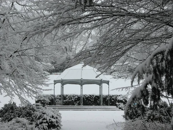 Hermosa Vista Del Paisaje Invierno —  Fotos de Stock