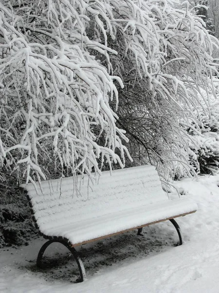 Bela Vista Paisagem Inverno — Fotografia de Stock