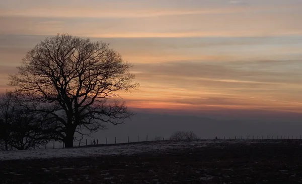 Schöne Aussicht Auf Die Natur — Stockfoto