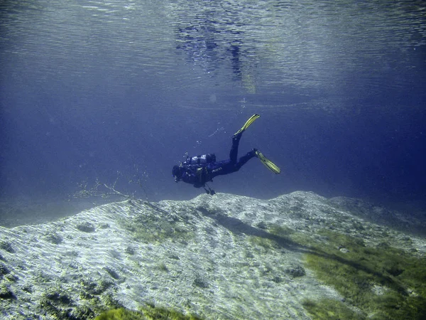 marine theme wallpaper, underwater shot