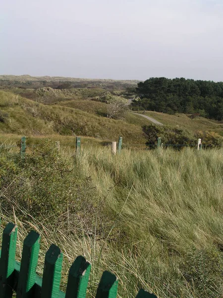 Paisagem Nas Dunas — Fotografia de Stock