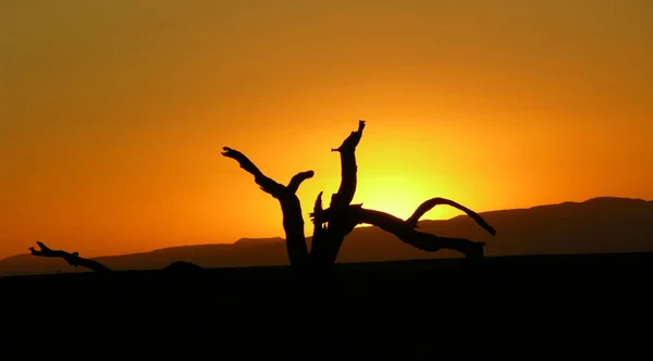 Západ Slunce Namibské Poušti — Stock fotografie