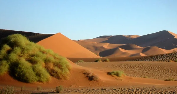 Hete Zomer Zandwoestijn Duinlandschap — Stockfoto