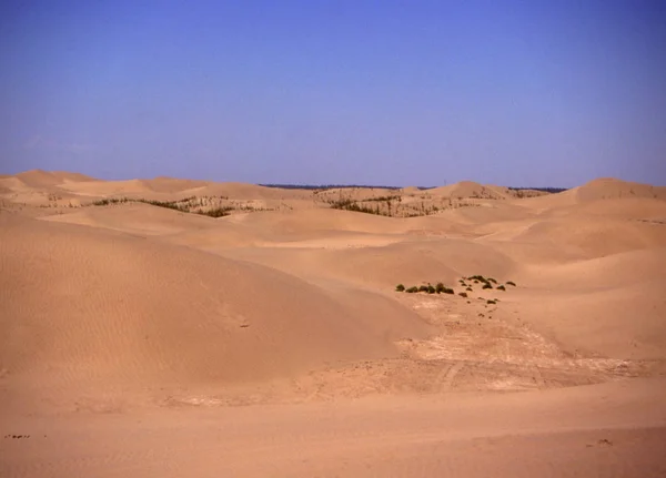 Été Chaud Dans Désert Sablonneux Paysage Dunes — Photo