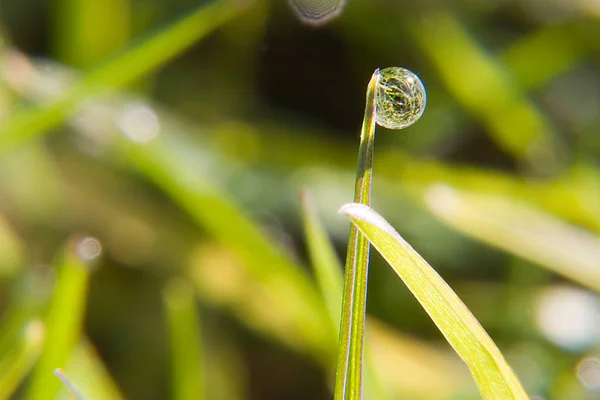 Conceptual Image Abstract Water Drops — Stock Photo, Image