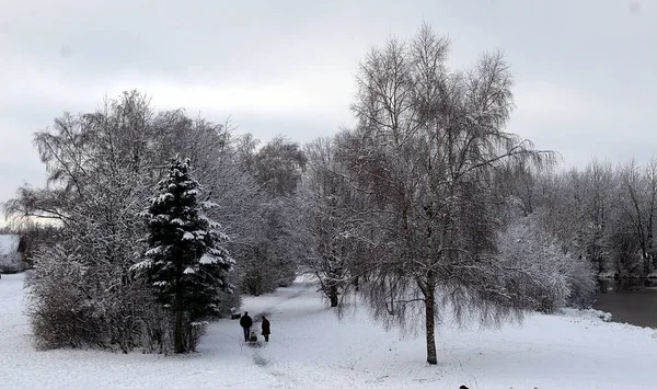 Зимовий Пейзаж Нижній Саксонії — стокове фото