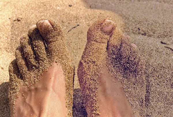 Kuma Bulanmış Bir Ayakları Kapat — Stok fotoğraf