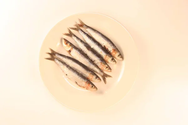 Sardines Mediterranean Sea Food — Stock Photo, Image