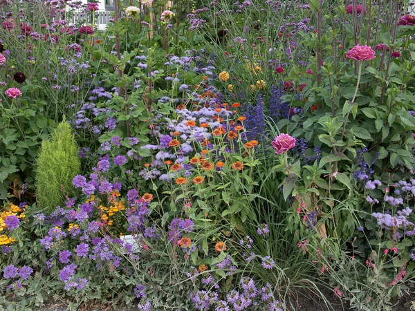 Sommerbett Kühlen Farben — Stockfoto