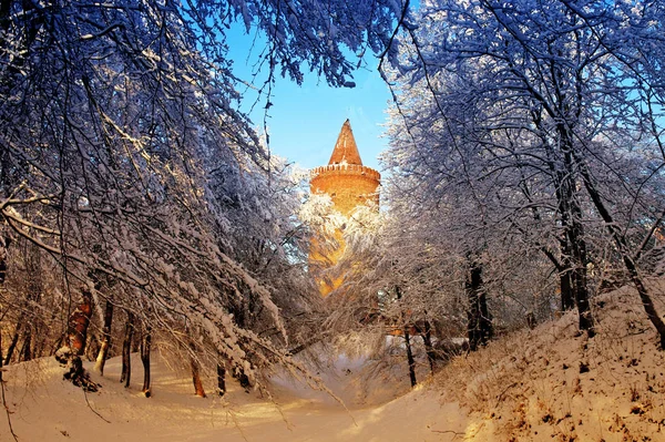 Мальовничий Вид Архітектуру Християнської Церкви — стокове фото