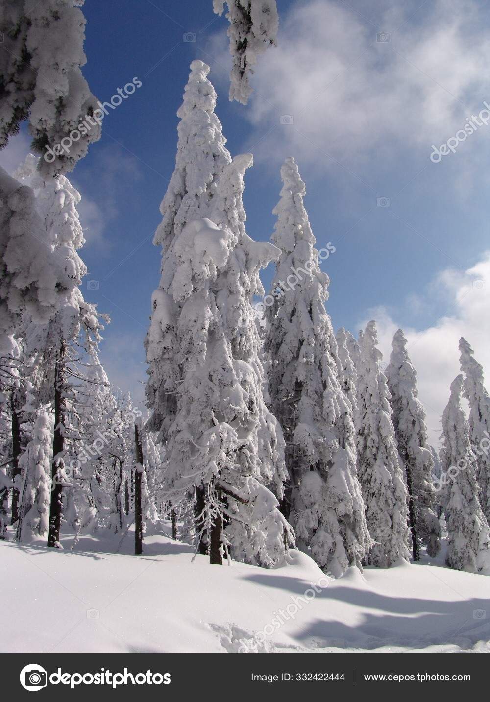 Harz Mittelgebirge Který Nejvyšší Nadmořské Výšky Severním Německu Jeho