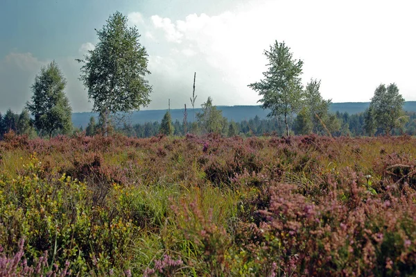 Bella Vista Sulla Zona Rurale — Foto Stock