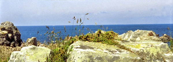 Prachtig Uitzicht Het Natuurlandschap — Stockfoto