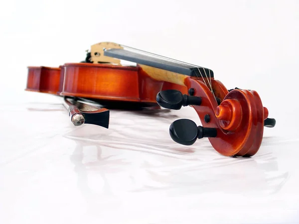 Vecchio Violino Sfondo Bianco — Foto Stock