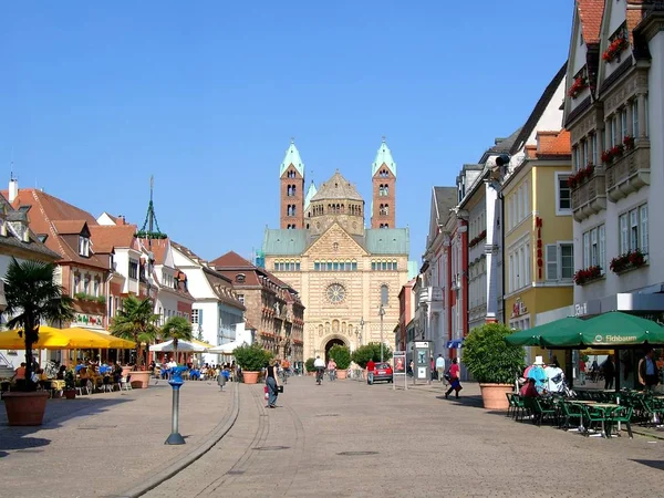 Arbre Sur Rhin Dans Speyer — Photo