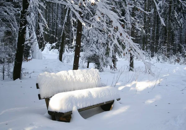 Bela Paisagem Inverno Nevado — Fotografia de Stock