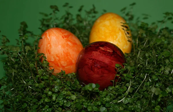 Красочные Яйца Гнезде — стоковое фото