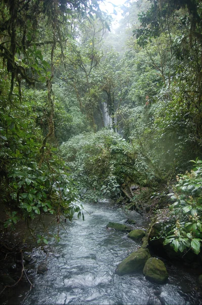 Vista Panorâmica Paisagem Majestosa Com Cachoeira — Fotografia de Stock