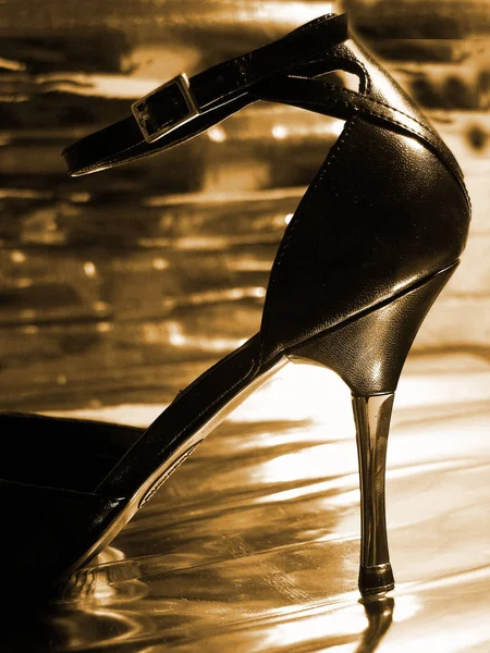 Zapatos Elegantes Suelo — Foto de Stock