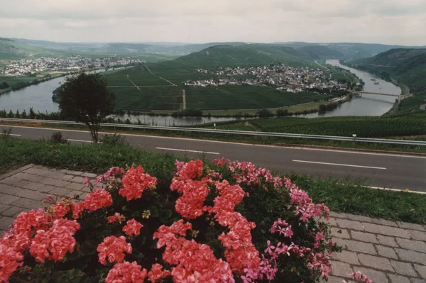 Landleben Selektiver Fokus — Stockfoto