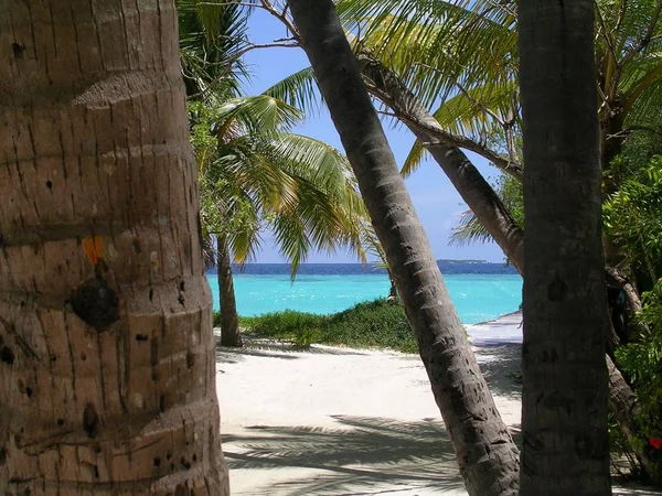 Ostrov Makunudu Maledivách — Stock fotografie