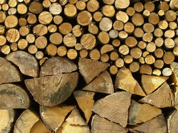 Drewno Opałowe Pień Drzewa — Zdjęcie stockowe