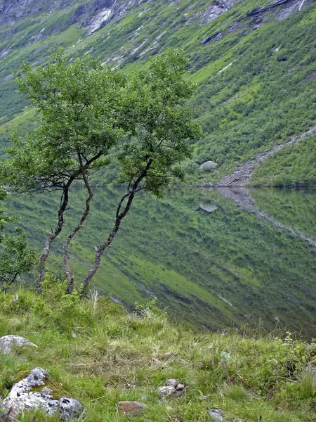 Landschaften Skandinavien — Stockfoto