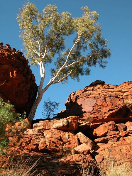 Rotsachtig Landschap Zandsteen Geologie — Stockfoto