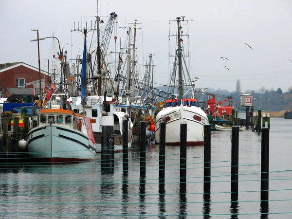 Bateaux Bateau Transport Par Bateau — Photo