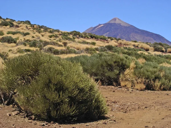 西班牙加那利群岛Tenerife的Teide山 — 图库照片