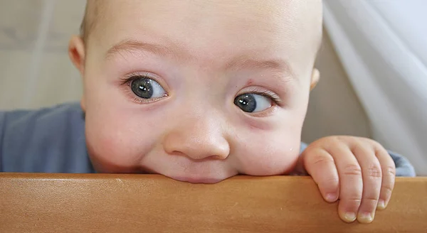 Vista Panoramica Del Bambino Bambino Carino — Foto Stock