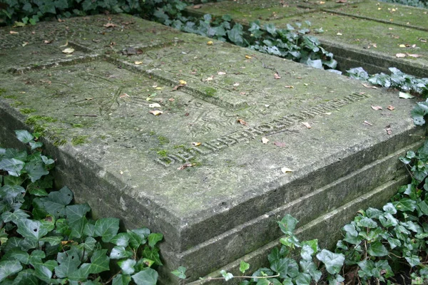Velho Cobertura Sepultura Coberta Hera Cemitério — Fotografia de Stock