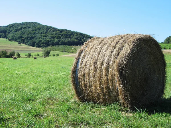 Venkovský Život Německu — Stock fotografie