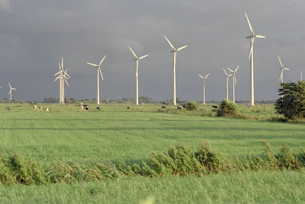 Wind Farm Krummhoern East Frisia — Stock Photo, Image