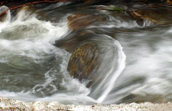 Příroda Foto Prostředí Venkovní — Stock fotografie