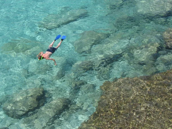 Fondo Pantalla Tema Marino Tiro Bajo Agua —  Fotos de Stock