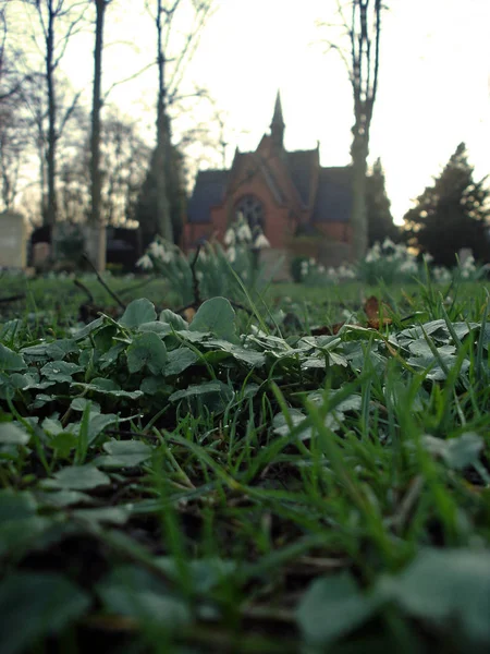 Schilderachtig Uitzicht Oude Kerk — Stockfoto