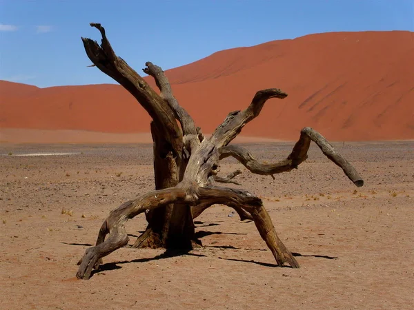 Paesaggio Nel Deserto Della Namibia — Foto Stock