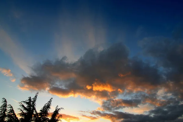 Schöner Blick Auf Den Warmen Abend — Stockfoto