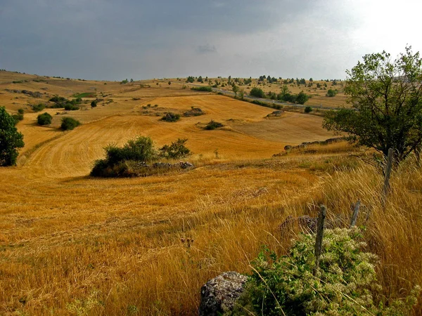 Hochebene Causse Auf Teer — Stockfoto