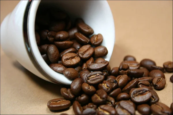 Kopje Koffie Met Hele Bonen — Stockfoto