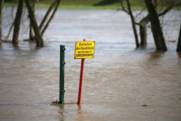Flooded Plot Weser Rinteln Lower Saxony — Stock Photo, Image