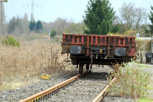 Viejo Tren Bosque — Foto de Stock