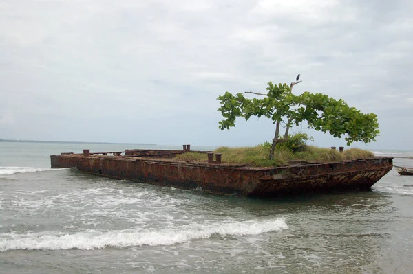 Caribisch Uitzicht Het Strand Overdag — Stockfoto