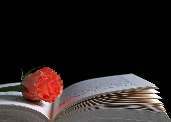 Buch Und Rose Auf Schwarzem Hintergrund — Stockfoto