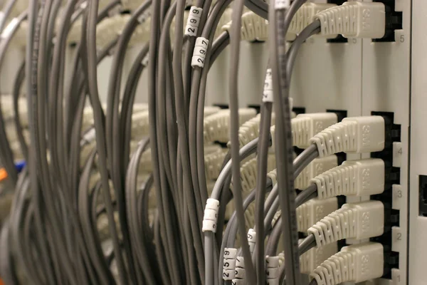 Conectar Cable Electricidad Conectar — Foto de Stock
