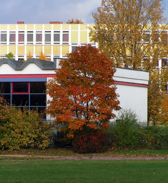 Autunno Nel Parco — Foto Stock