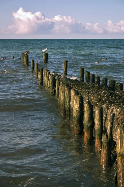 Dalgalı Baltık Denizi Sahili — Stok fotoğraf