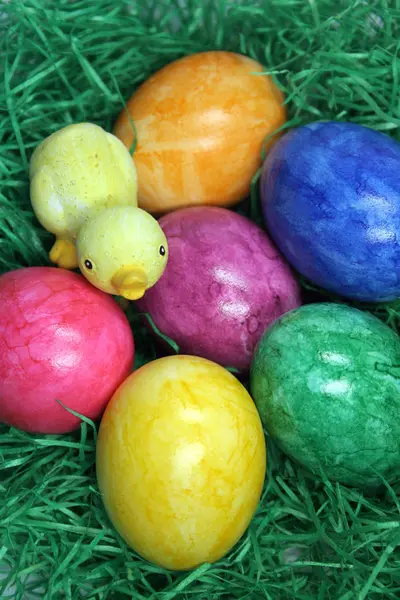色彩艳丽的有小鸡的复活节蛋 — 图库照片